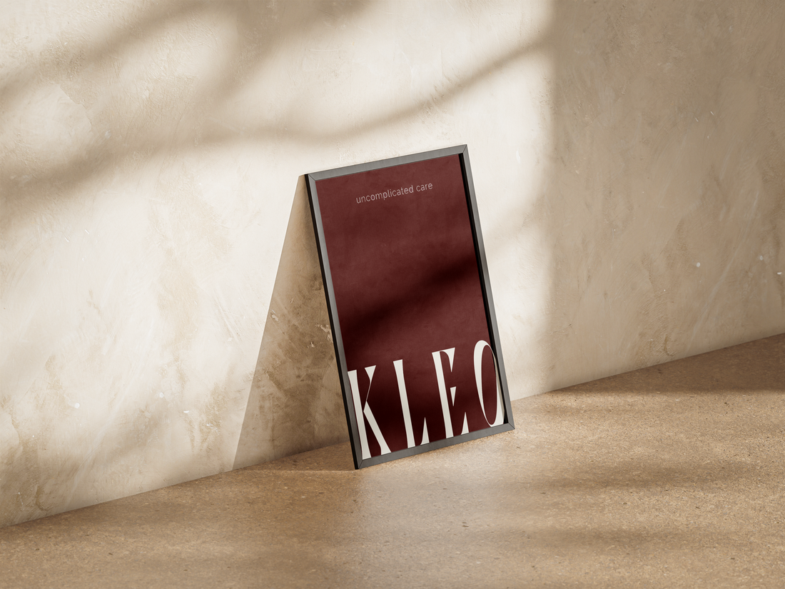 ¿Quiénes somos KLEO?